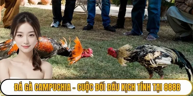đá gà campuchia