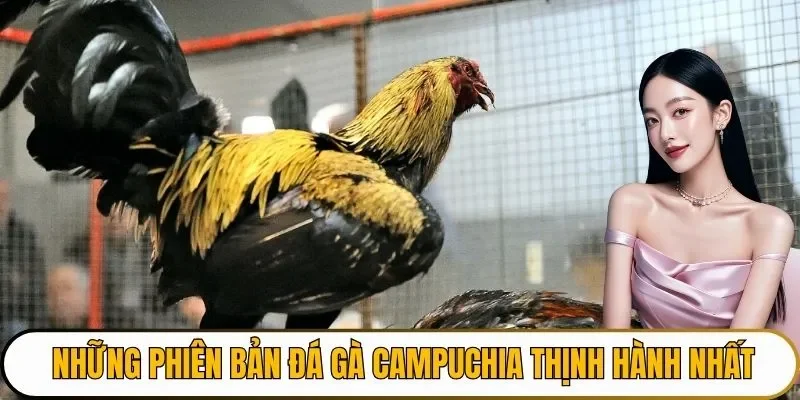 Những phiên bản đá gà Campuchia thịnh hành nhất hiện nay