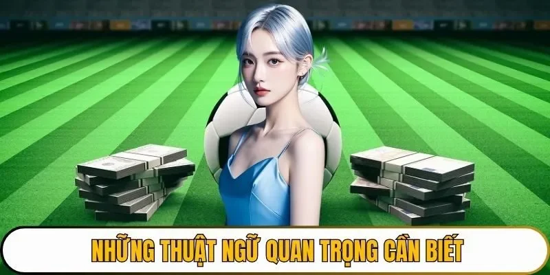 Những thuật ngữ thường gặp khi cá cược